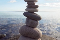 Lebenssteine Ostsee 1