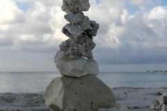 Lebenssteine Malediven Koralle 5