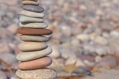 Lebenssteine Ostsee 7