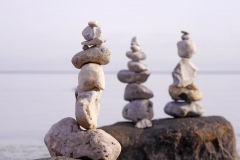 Lebenssteine Ostsee Sammlung