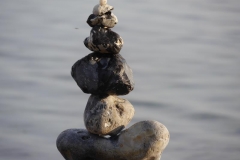 Lebenssteine Ostsee 10