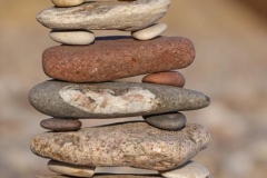 Lebenssteine Ostsee 11