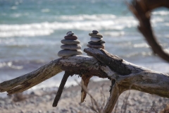 Lebenssteine Ostsee 13