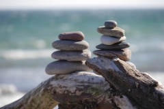 Lebenssteine Ostsee 14