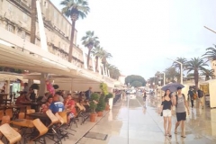 Split Regen
